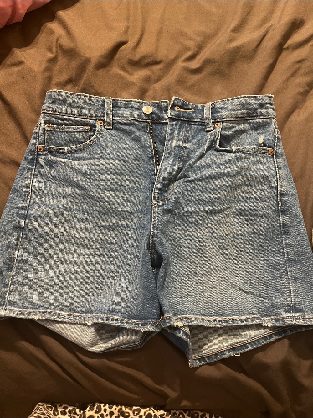 American Eagle Outfitters Light Blue Denim High-Rise Shorts